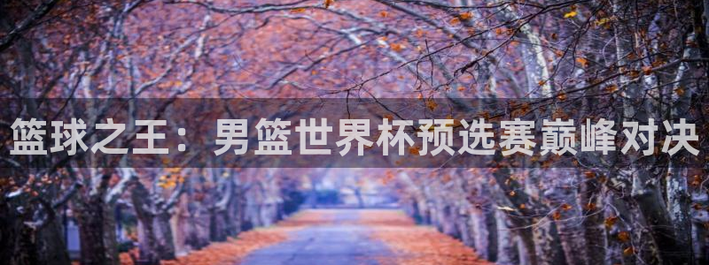 2026世界杯日期：篮球之王：男篮世界杯预选赛巅峰对决