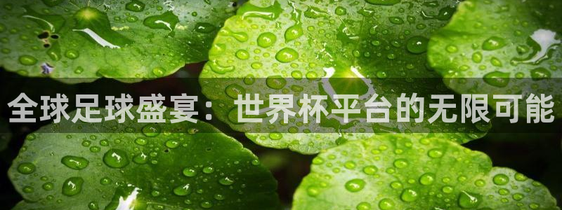 2026世界杯亚洲预选赛赛程：全球足球盛宴：世界杯平台的无限可能