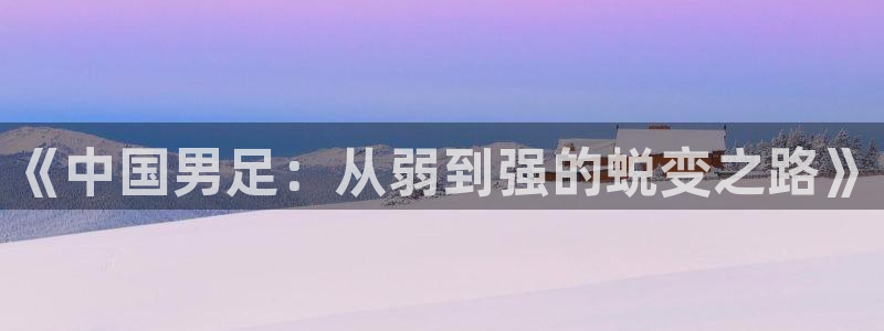 世界杯亚洲区预选赛积分榜：《中国男足：从弱到强的蜕变之路》