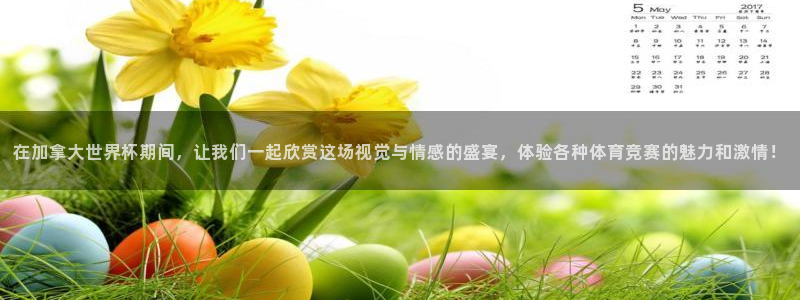 美洲杯直播：在加拿大世界杯期间，让我们一起欣赏这场视觉与情感的盛宴，体验各种体育竞赛的魅力和激情！