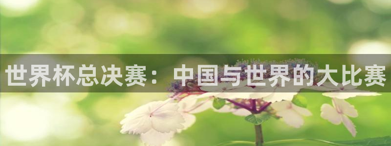 世界杯小组赛赛程：世界杯总决赛：中国与世界的大比赛