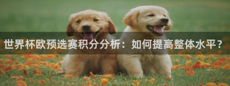 女足世界杯直播在线观看免费高清：世界杯欧预选赛积分分析：如何提高整体水平？