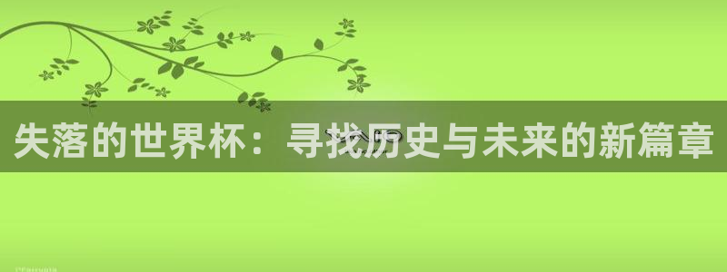 足球世界杯赛程：失落的世界杯：寻找历史与未来的新篇章