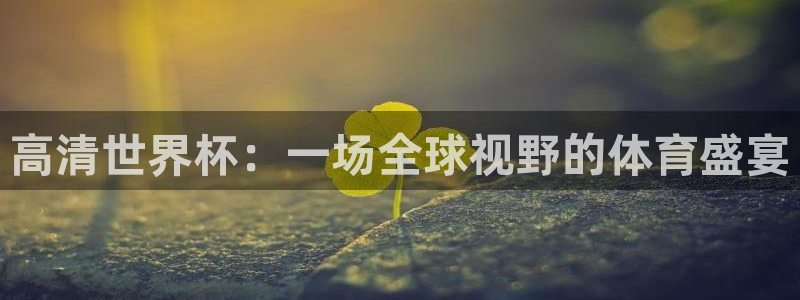 26世界杯：高清世界杯：一场全球视野的体育盛宴