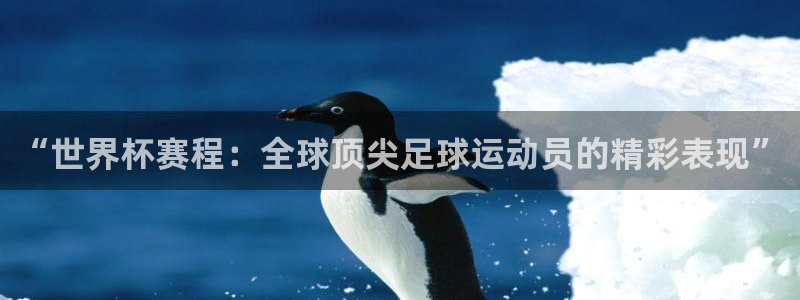 世预赛直播：“世界杯赛程：全球顶尖足球运动员的精彩表现”