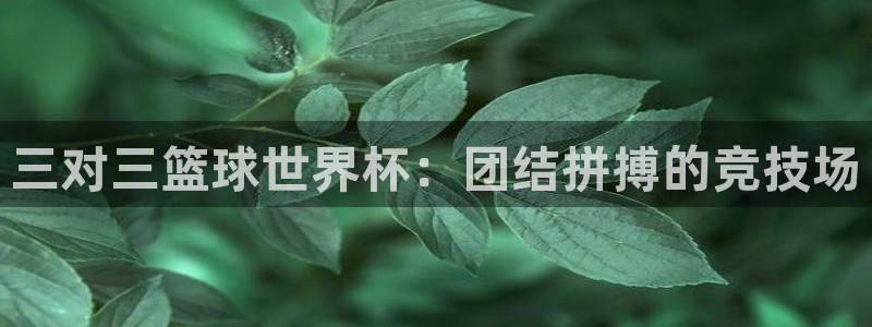 2026世界杯直播免费观看：三对三篮球世界杯：团结拼搏的竞技场