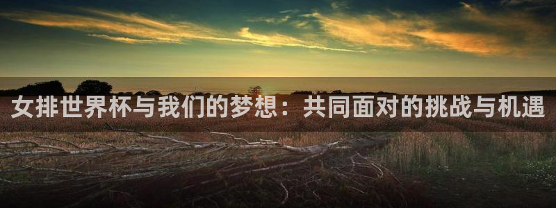 2026葡萄牙杯赛程表：女排世界杯与我们的梦想：共同面对的挑战与机遇