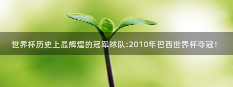 世界杯预选赛欧洲：世界杯历史上最辉煌的冠军球队:2010年巴西世界杯夺冠！